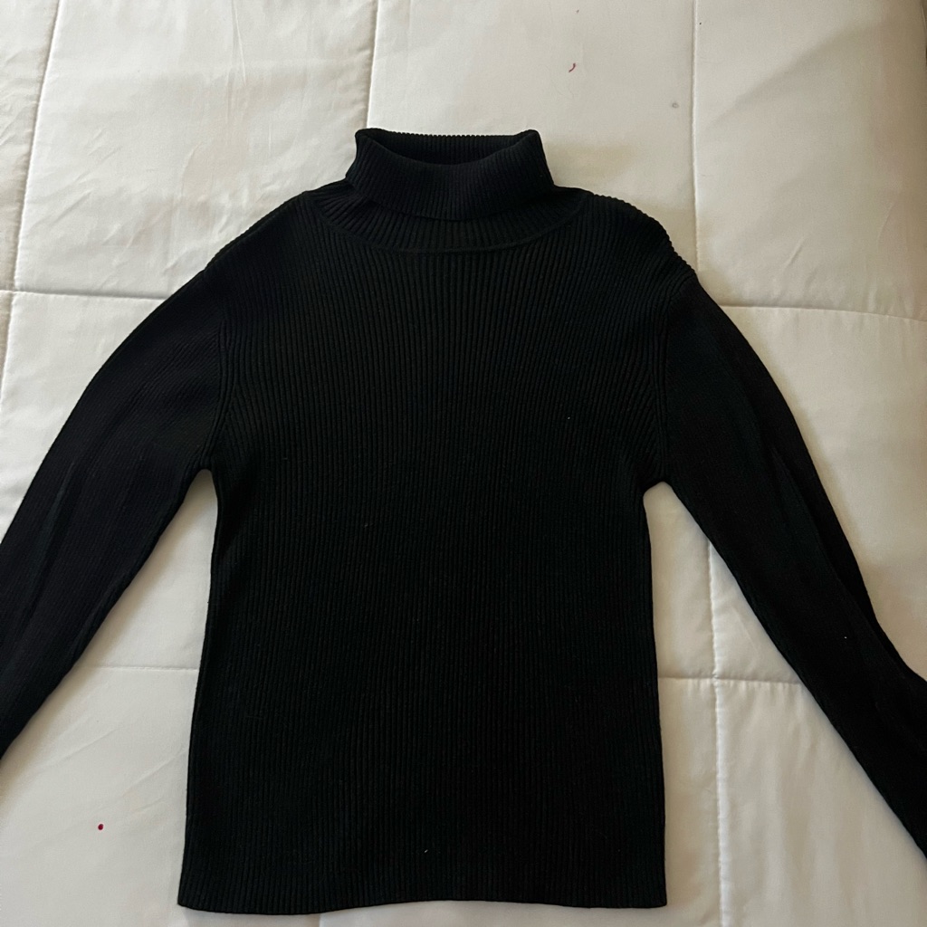 Black Basic Turtle Neck